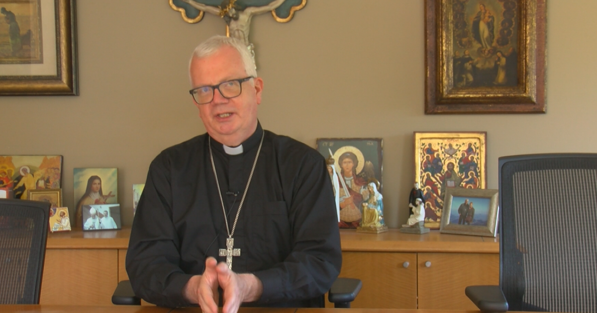 Bishop of Madison previews Pope Leo's first Angelus blessing | Things ...