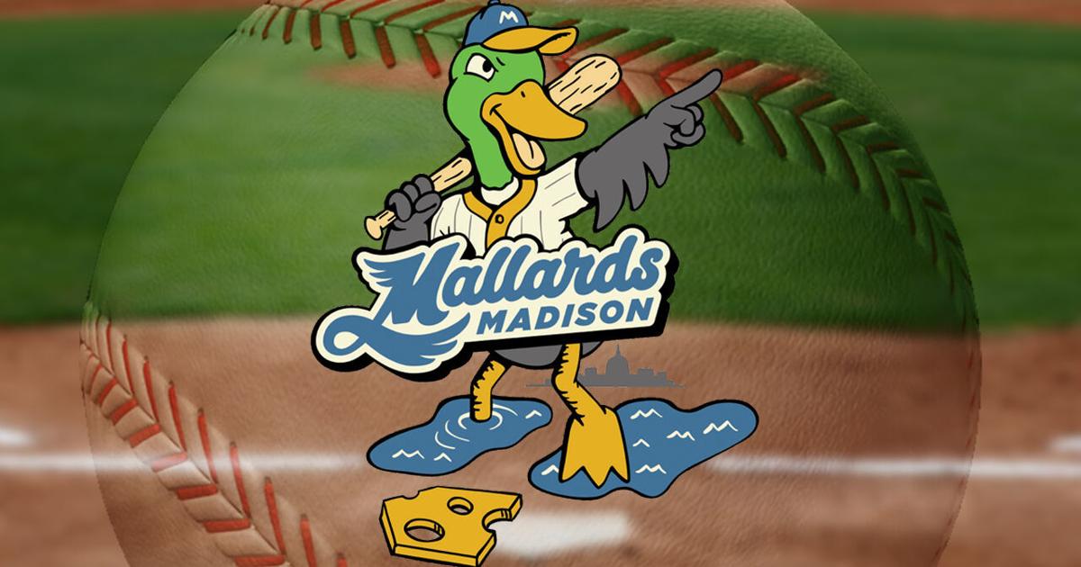 Madison Mallards partners with Camp Createability, offers new sensory ...