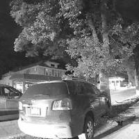Theft News Image