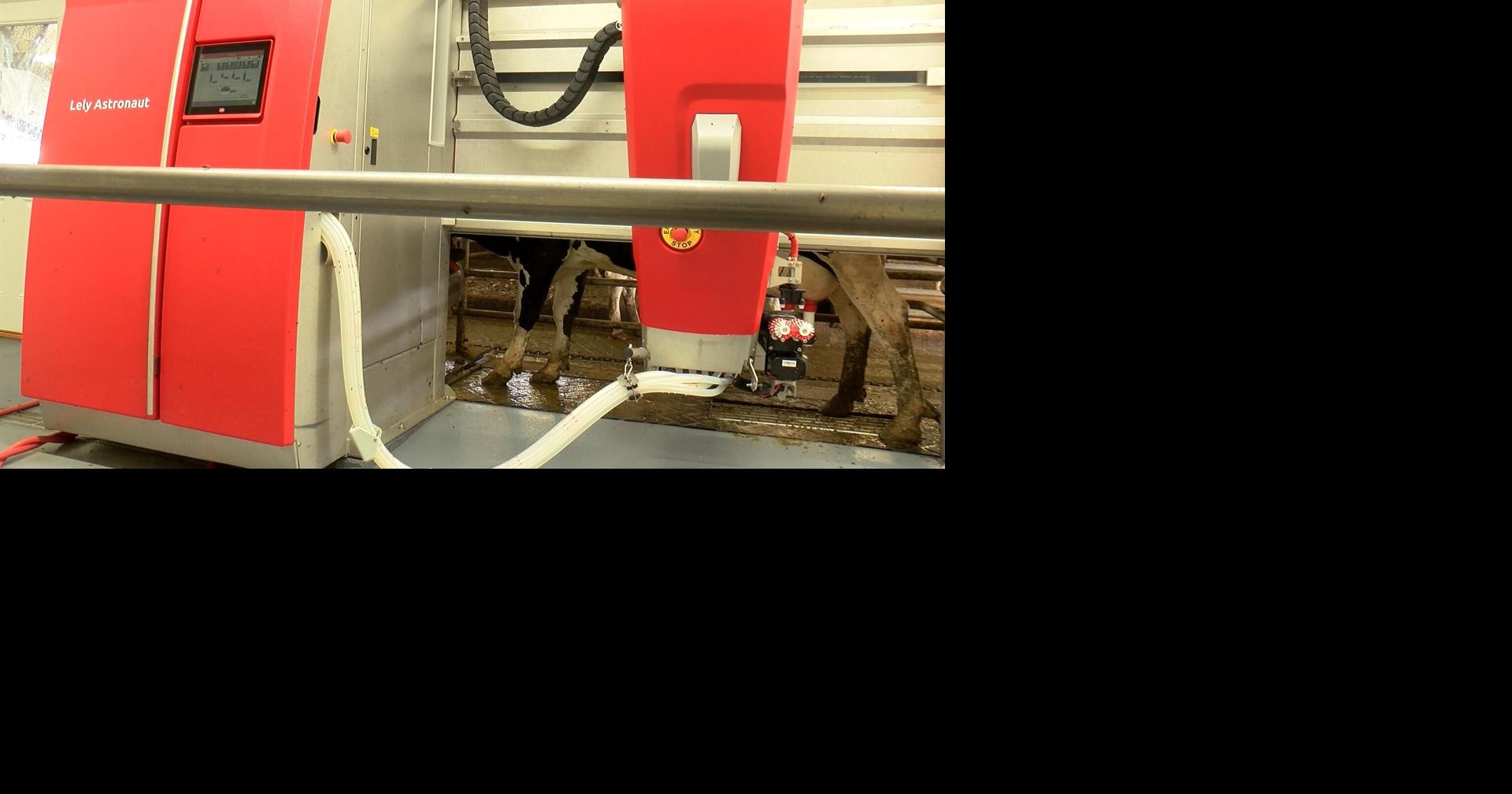 Dairy Innovation Hub farms get new technologies to improve industry Politics