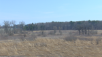 UW Arboretum DRY