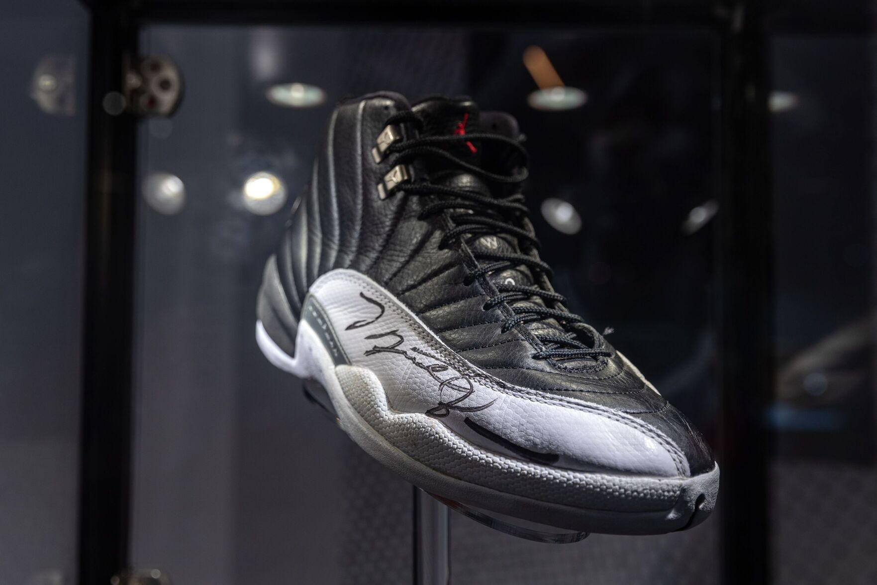 jordan 12 championship
