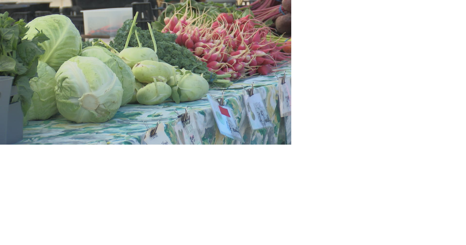 State health officials confirm 43 cases of Cyclosporiasis, WI farmers on alert