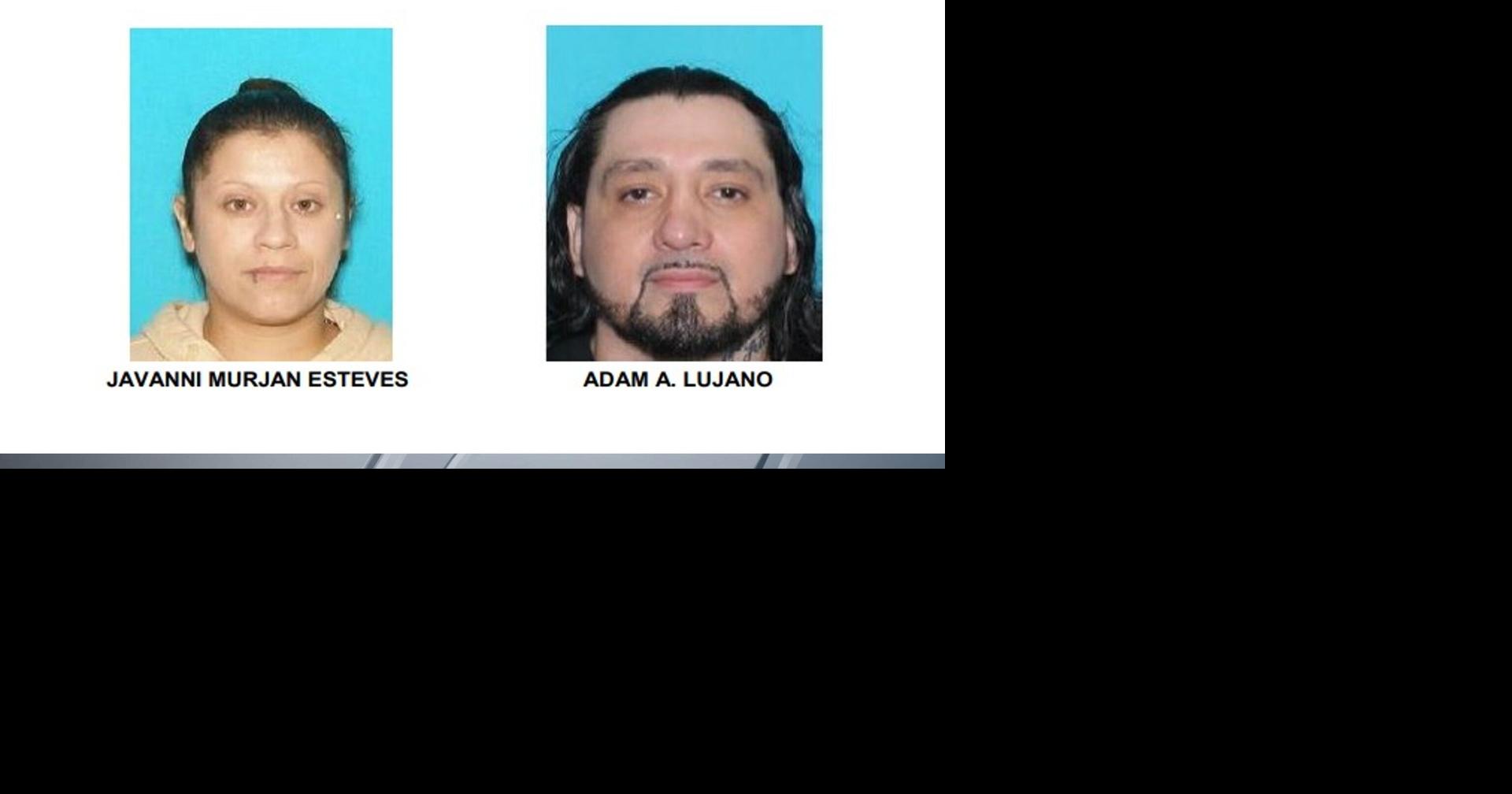 Arrest warrant issued in Lake Delton stolen puppy, armed robbery