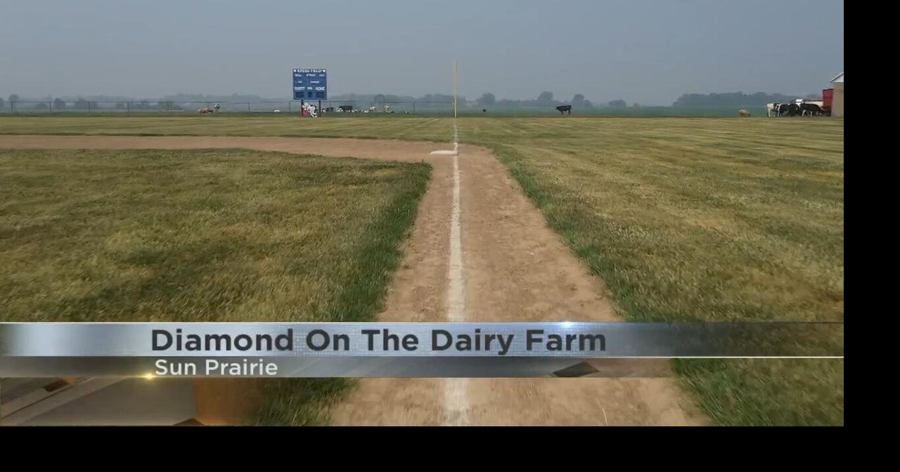 Diamond on the dairy farm The story of Krebs Dairy Farm's unique