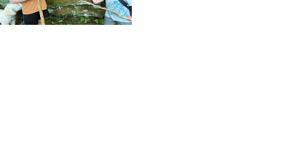 Wisconsin family rediscovers fern not seen in the last 90 years - Vimarsana News