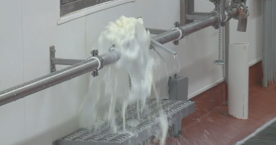 Some dairy farmers being forced to dump milk | Coronavirus | wkow.com