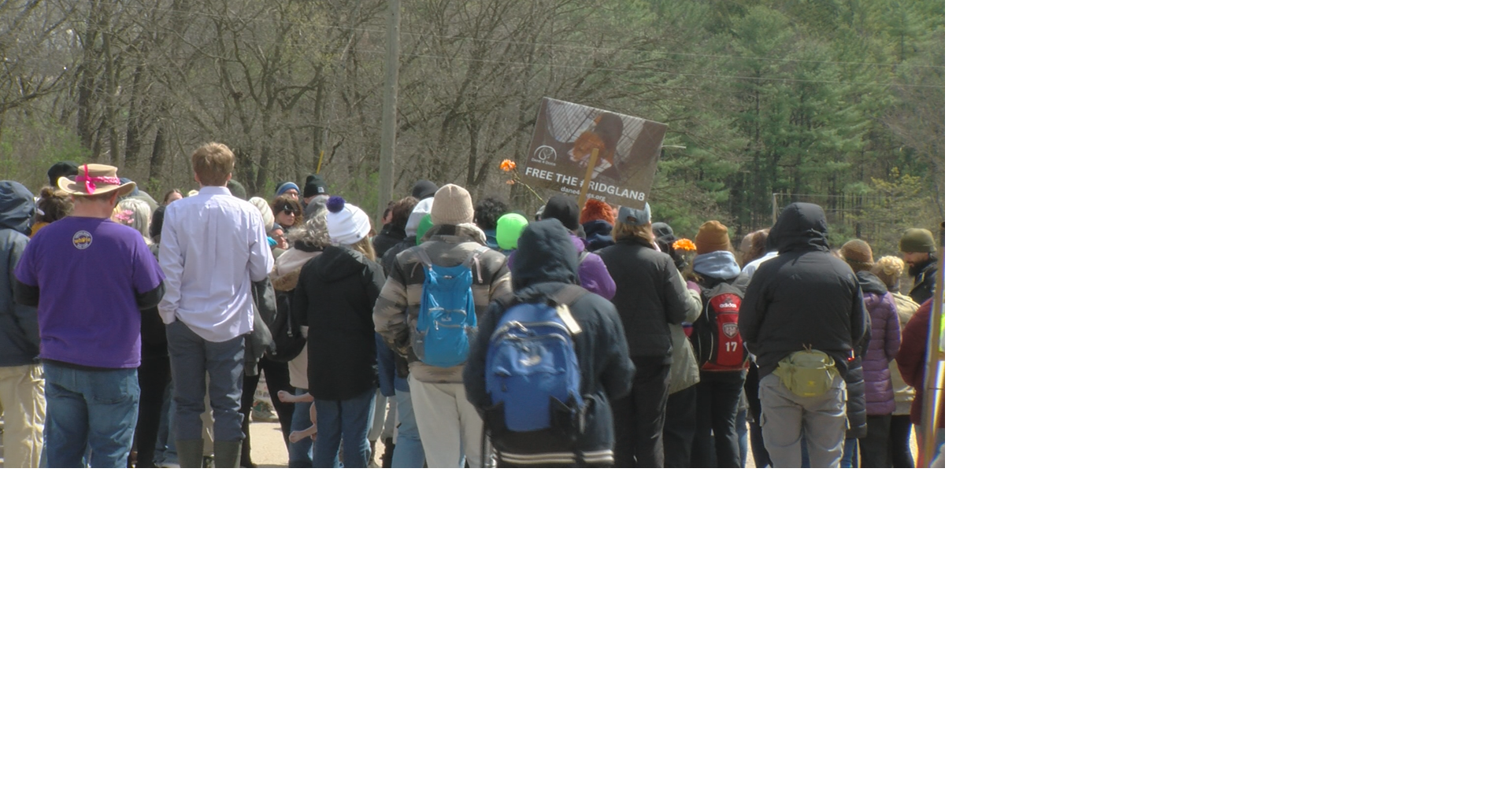 Ridglan Farms activists hold vigil and rally; demand release of dogs