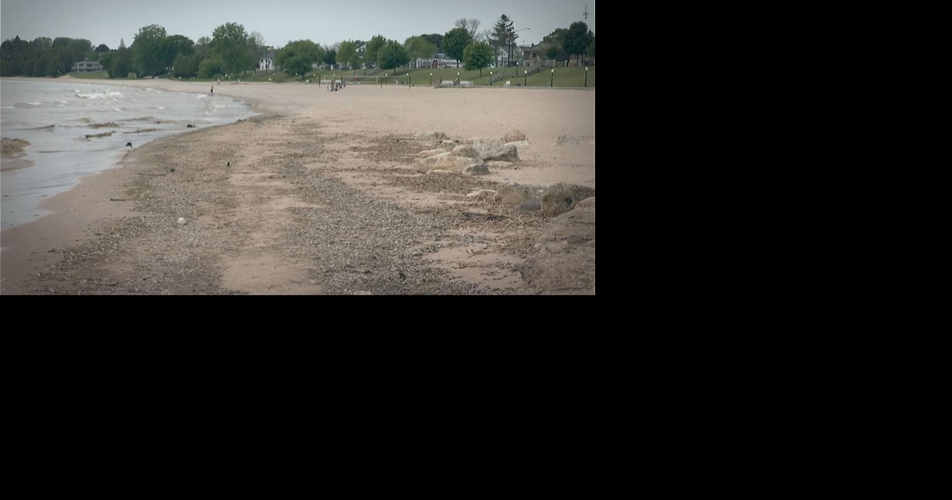 Residents notice possible increase in Lake Michigan alewife dieoff