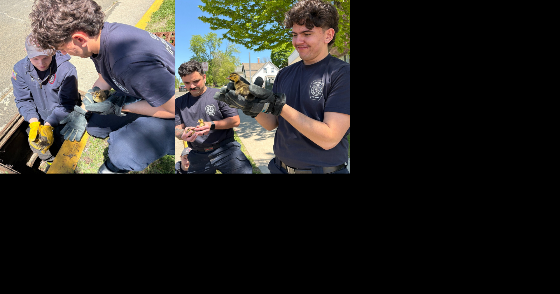 Firefighters rescue ducklings from sewer grate | News | wkow.com
