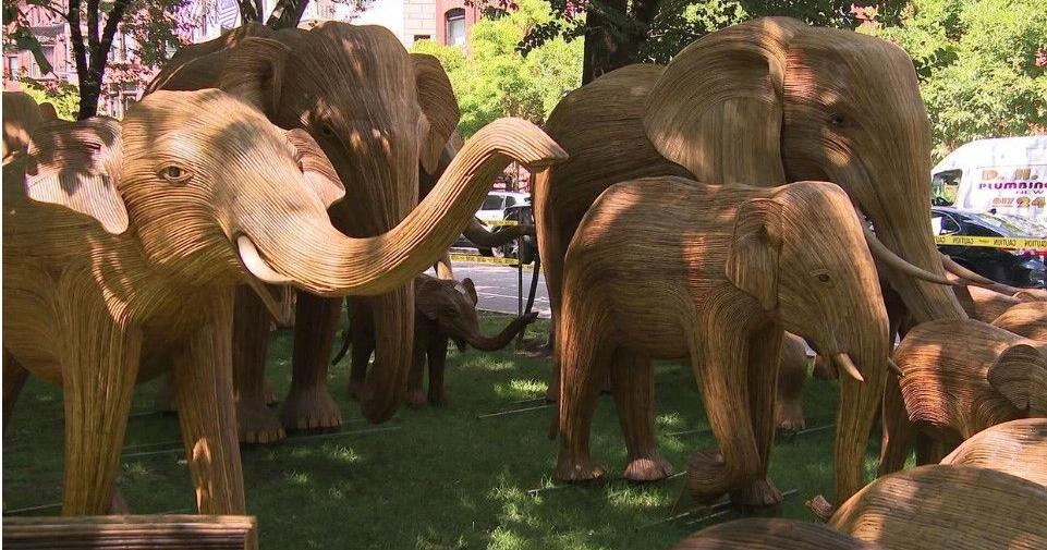 Exhibit with 100 life-sized elephant sculptures arrives in Boston