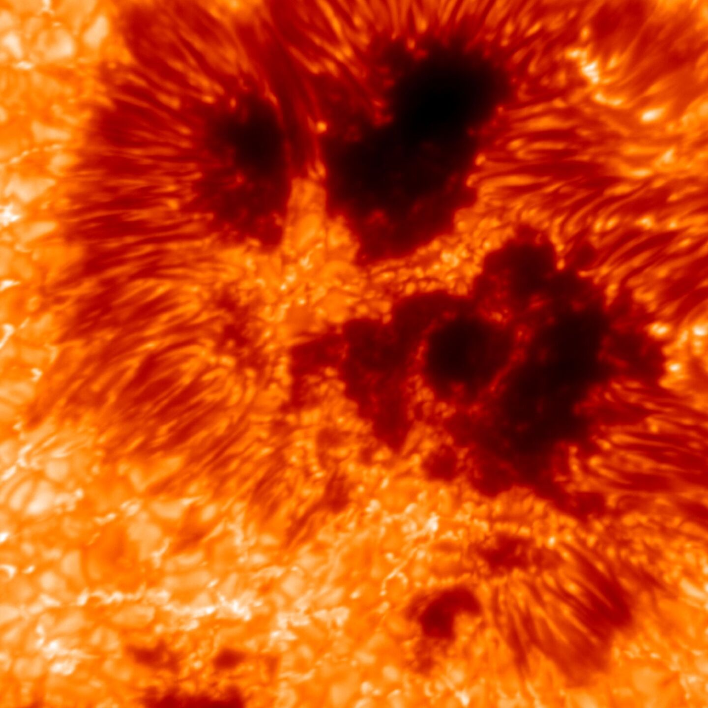 First image from the world's largest solar telescope captures the