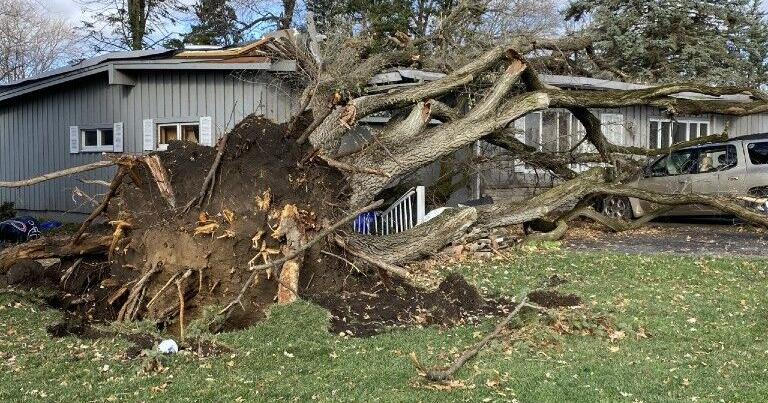 PHOTO GALLERY: Strong storms leave damage behind in northern Illinois ...