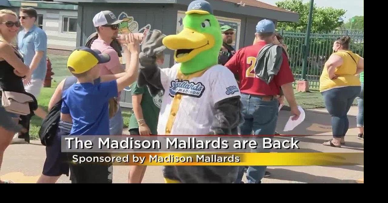 Madison Mallards are back | Midday Madison | wkow.com