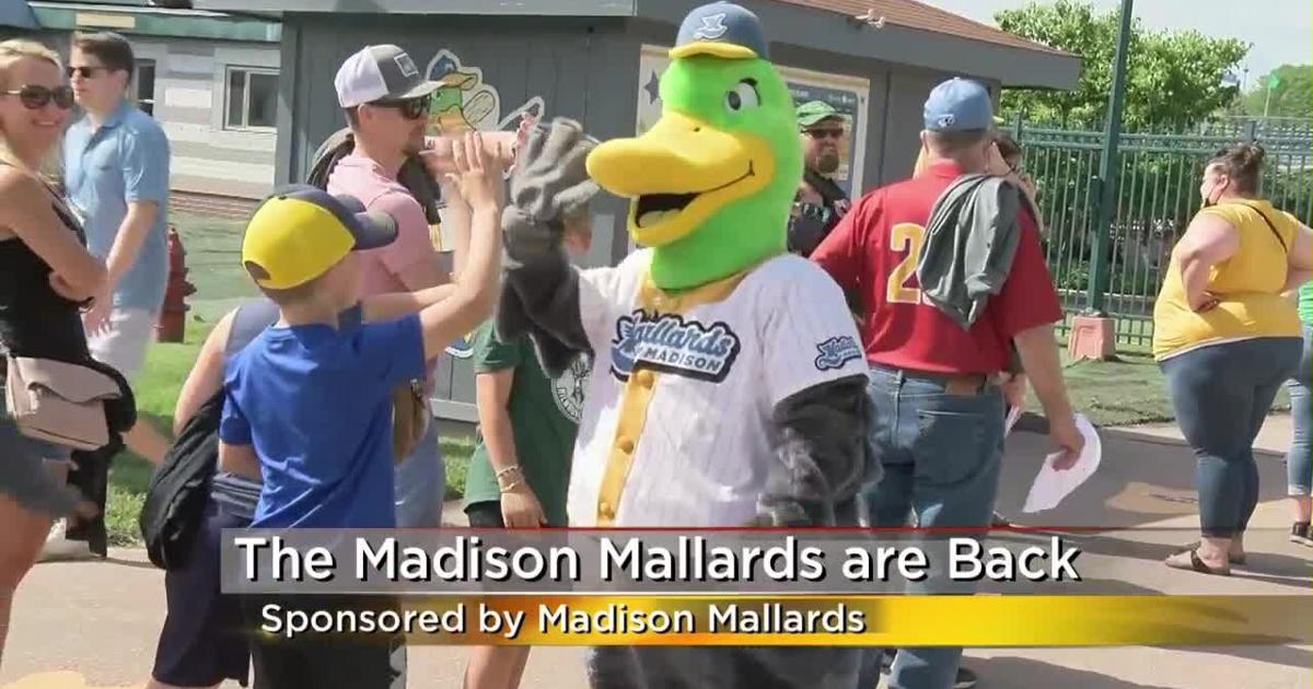Madison Mallards are back | Midday Madison | wkow.com