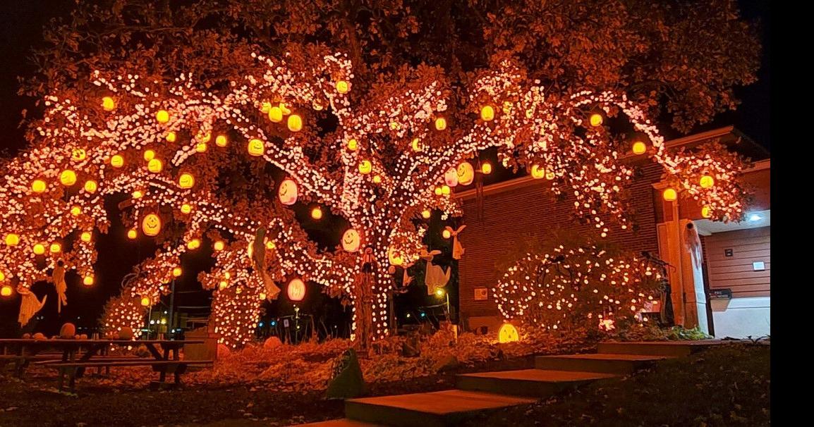 Fitchburg Serenity Club creates ‘Pumpkin Tree’ with a meaning News