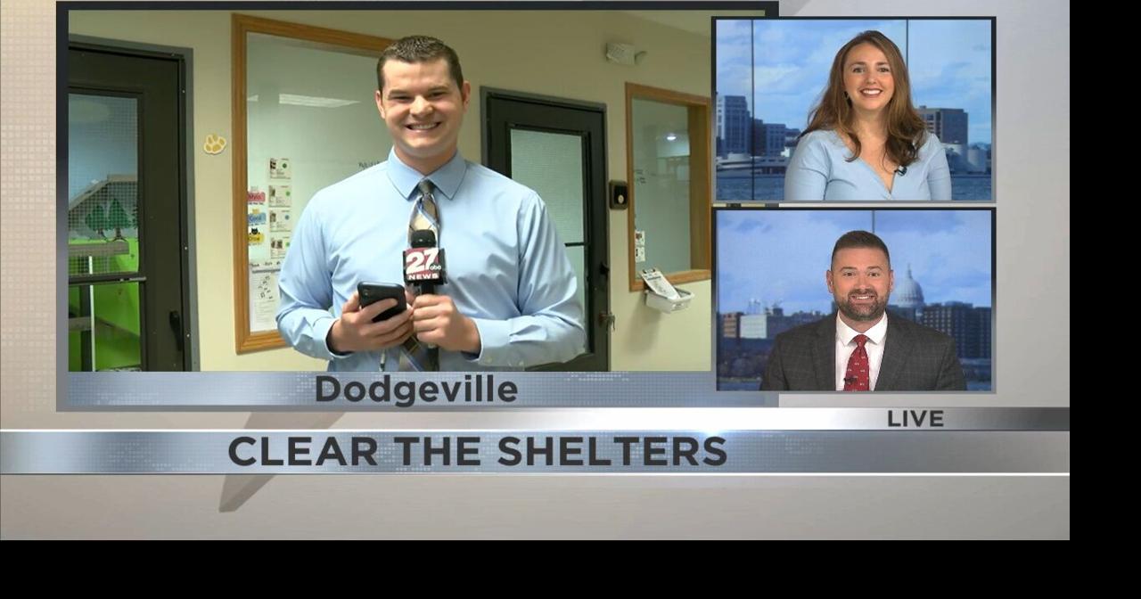 Clear the Shelters Video