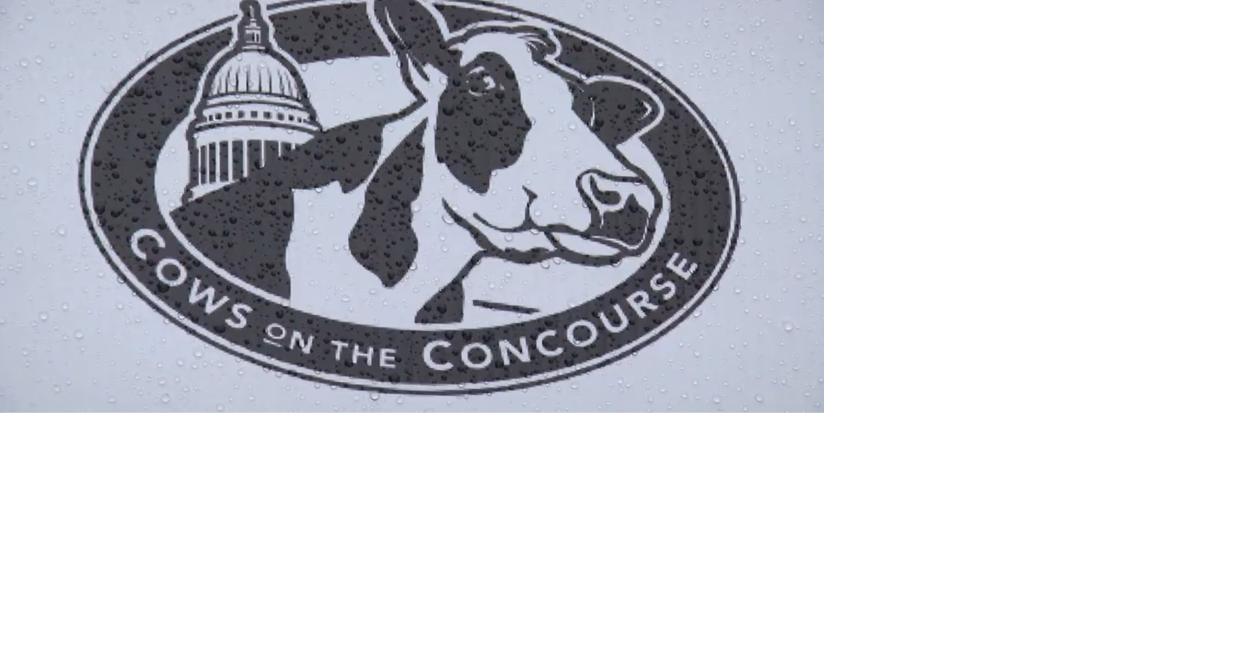 Dairy lovers gather to Madison's Cows on the Concourse Top Stories