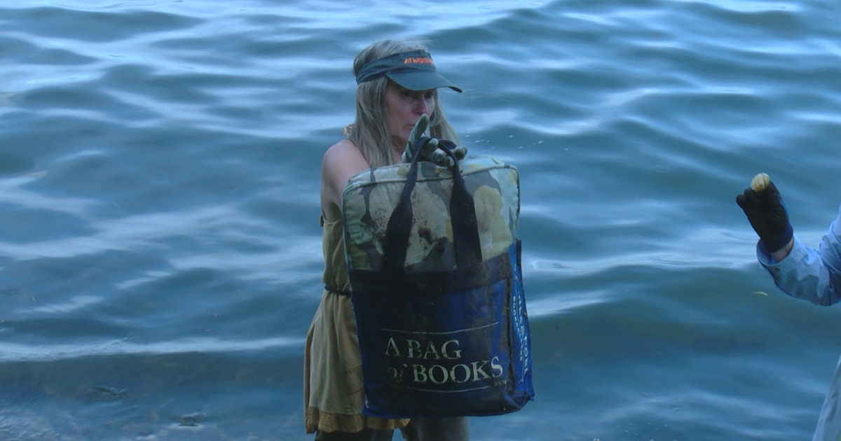 Why parts of Lake Monona stink and who's cleaning it up