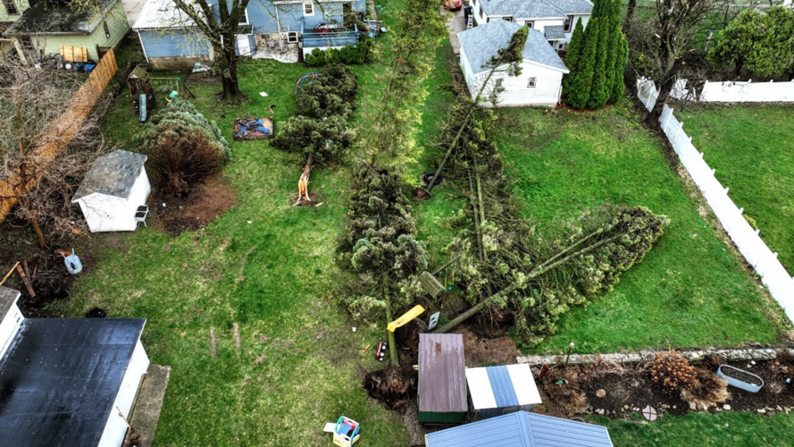 Exploding Tree Risk Wisconsin Severe storms tear through southern Wisconsin overnight, more on the ...
