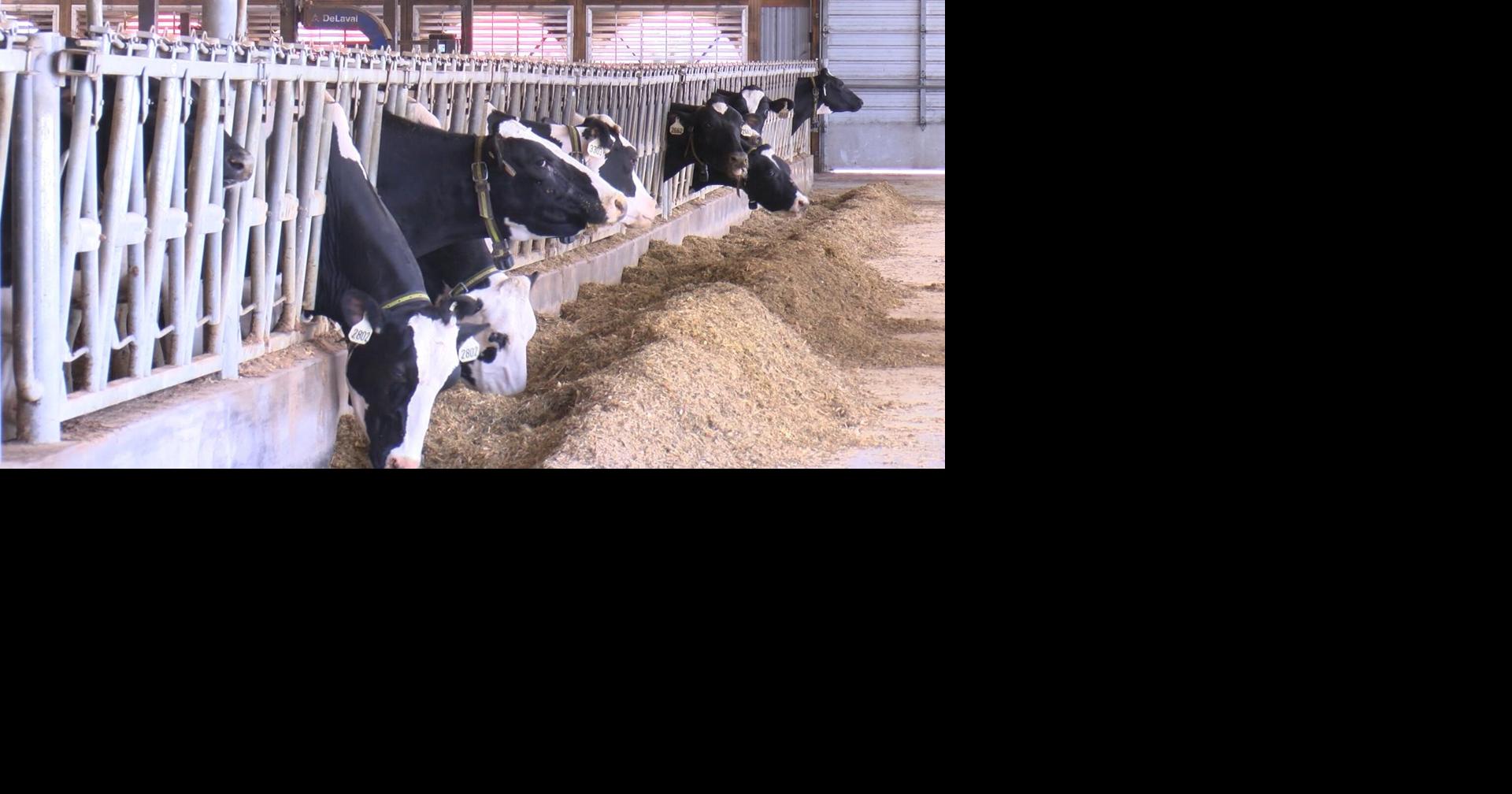 Dairy breakfasts at farms across Wisconsin celebrate farmers during June Dairy Month