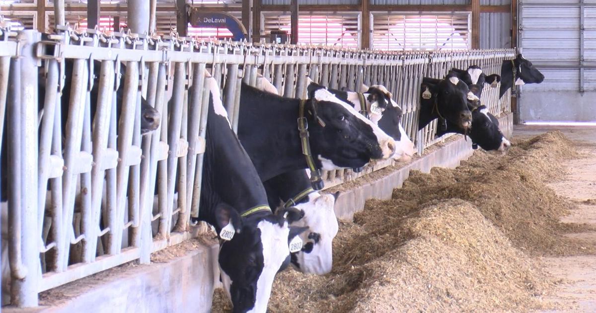 Dairy breakfasts at farms across Wisconsin celebrate farmers during June Dairy Month