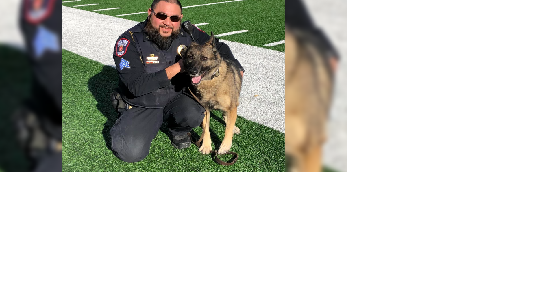 UWPD K9 officer's last football game | News | wkow.com