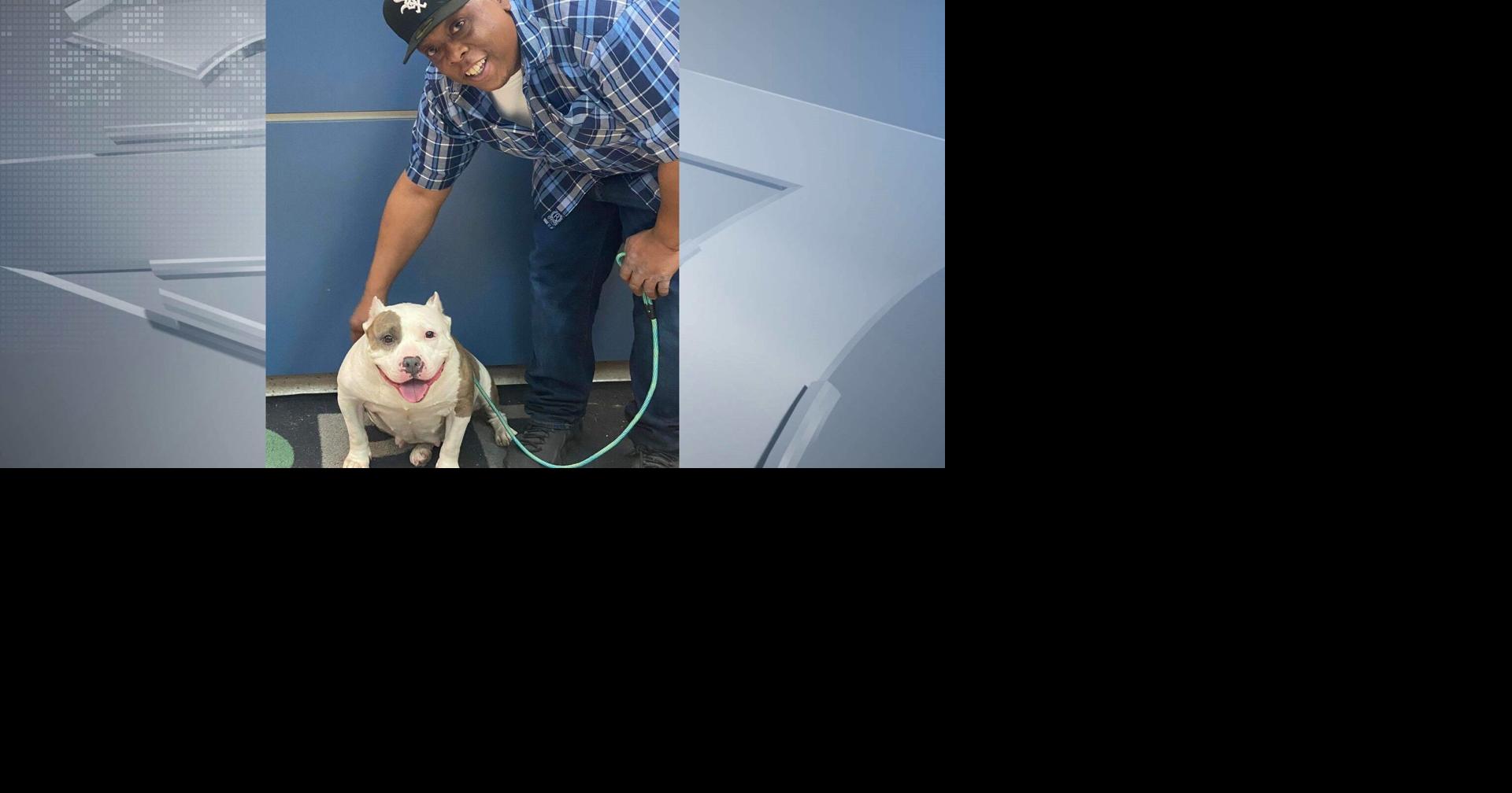 Wisconsin man reunites with dog five years after she was stolen | News ...