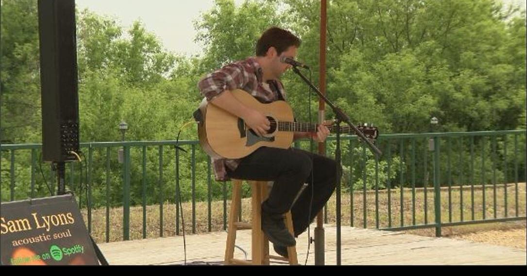 Two Barneveld businesses partner to save the songbirds News