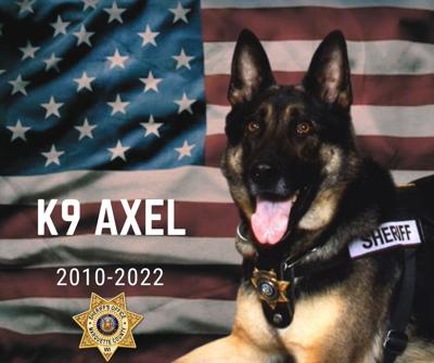 Marquette Co. Sheriff's Office mourns the death of K-9 Axel | Police ...