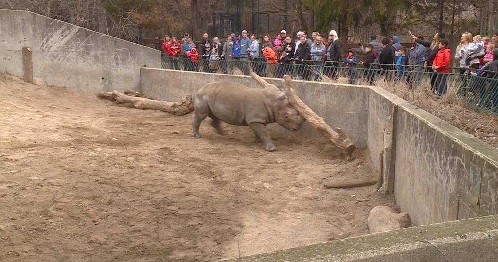 Kids Day at Henry Vilas Zoo | Archive | wkow.com