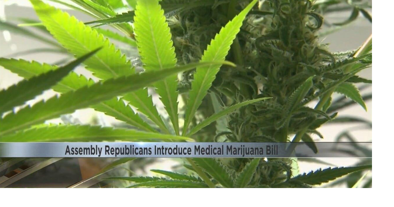 Wisconsin's Assembly Republicans introduce medical marijuana bills establishing staterun