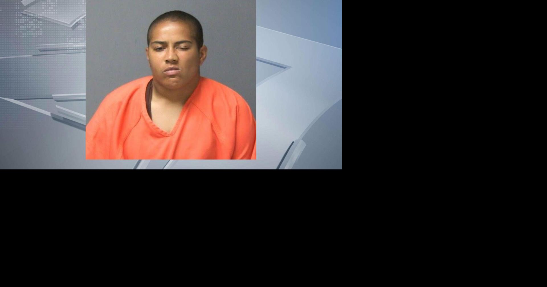 Woman faces felony charge after dog found dying in Portage parking lot