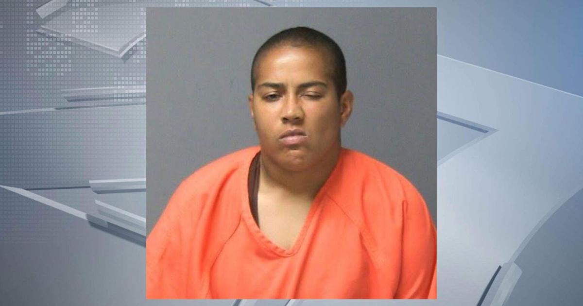 Woman faces felony charge after dog found dying in Portage parking lot