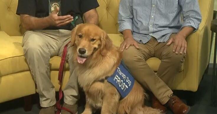 WAGS Fall Fundraiser celebrates volunteers, dogs and partnerships, Oct. 29