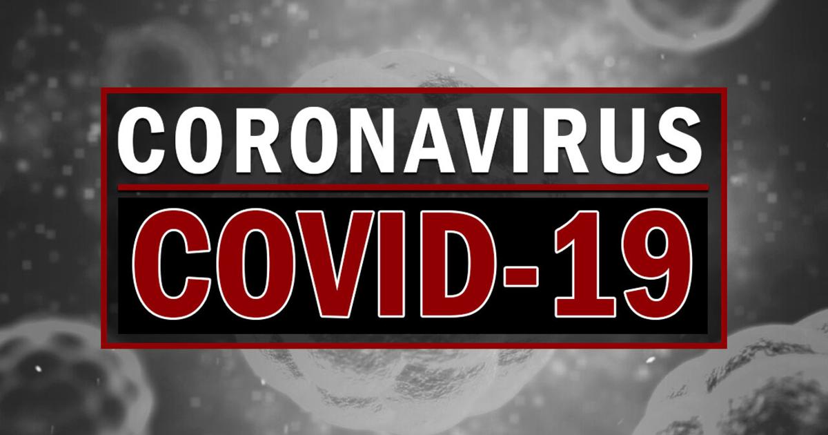 New variants keep high levels of COVID-19 cases during the summer | Coronavirus