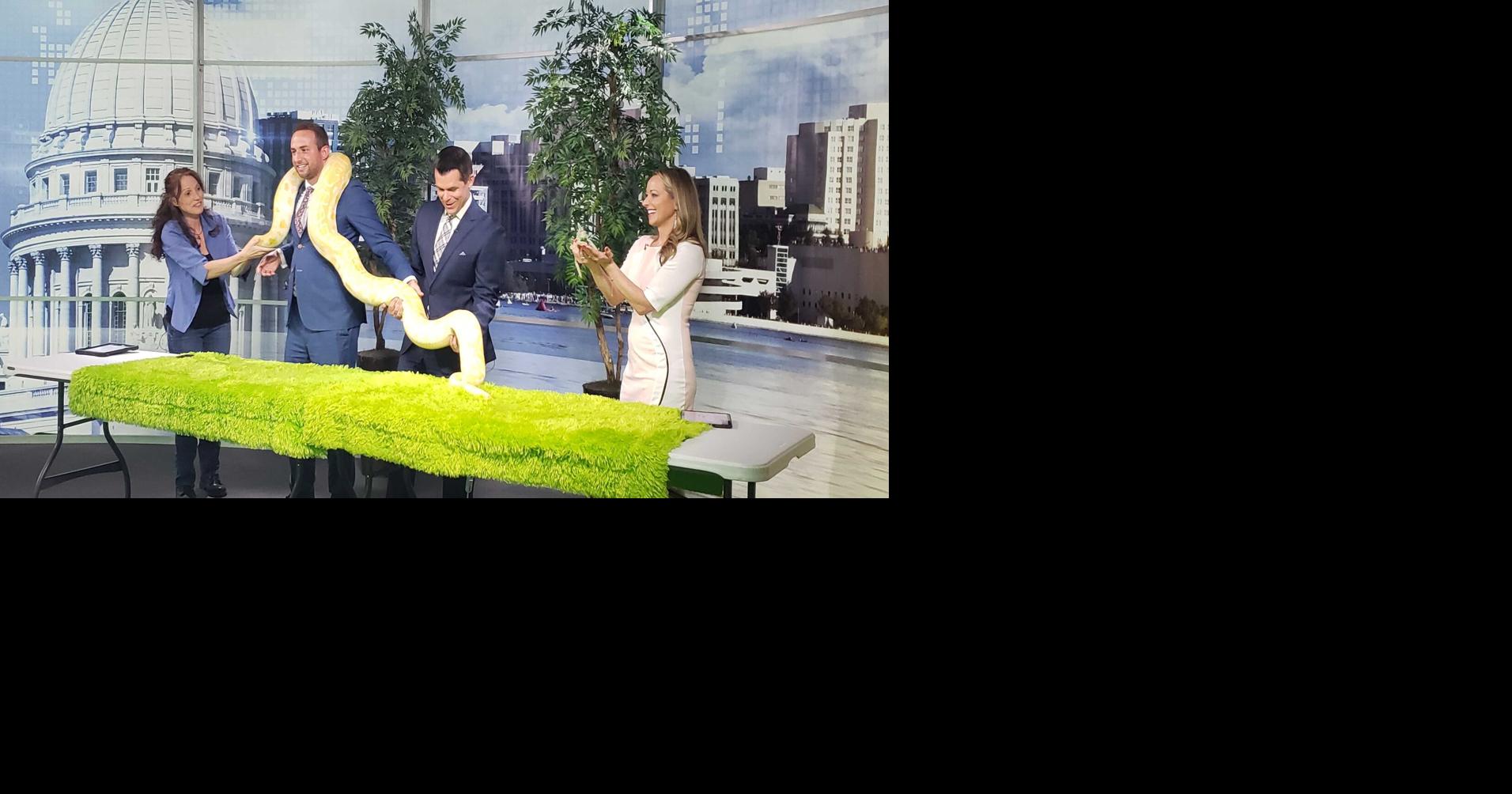 Zoozort stops by with Montgomery the Python | News | wkow.com