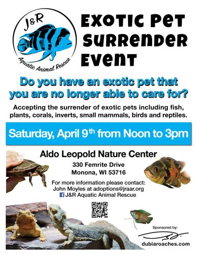 Exotic pet surrender event works to give animals a better home | News |  