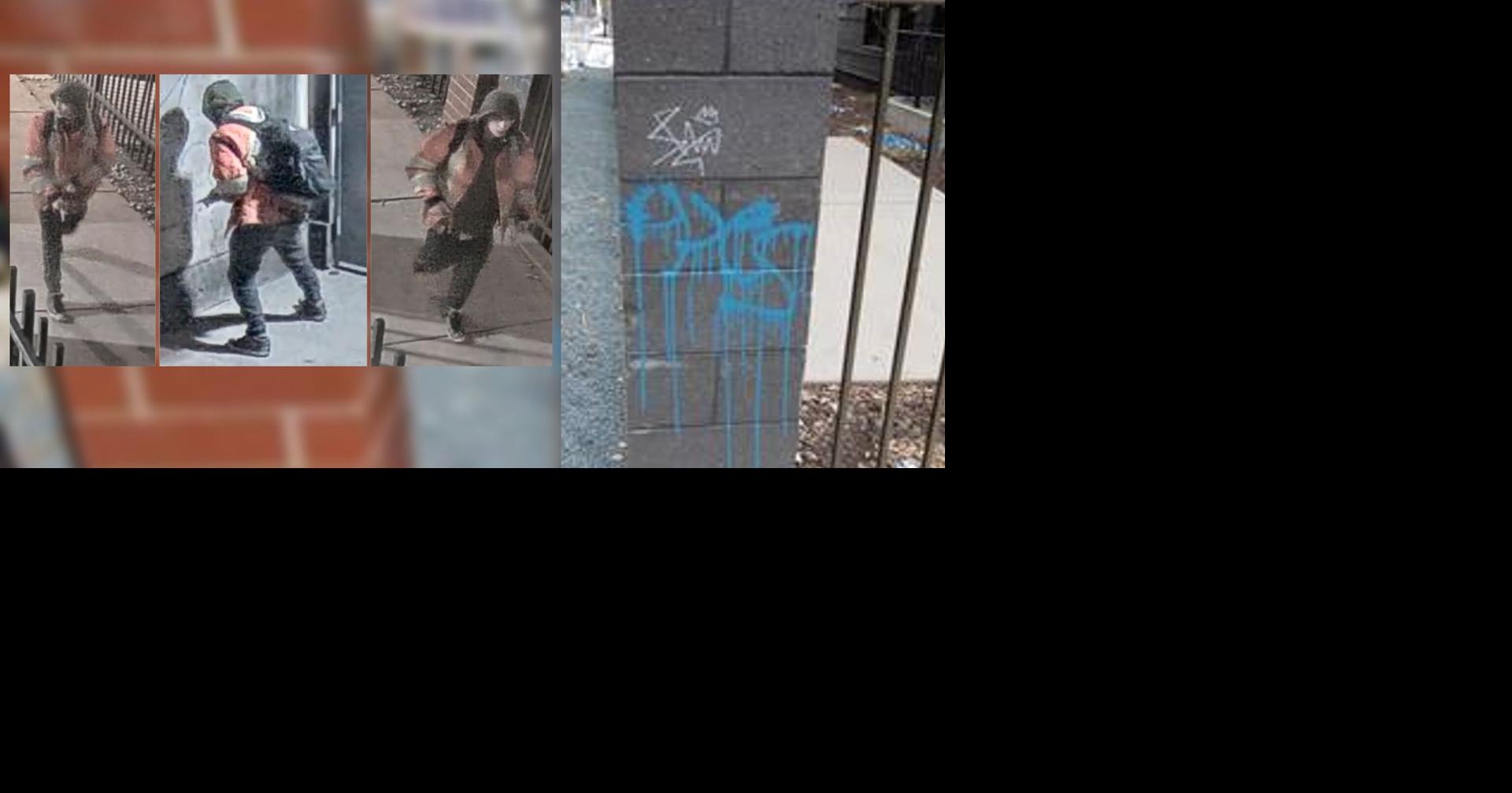 Madison police searching for suspect who vandalized university, city ...
