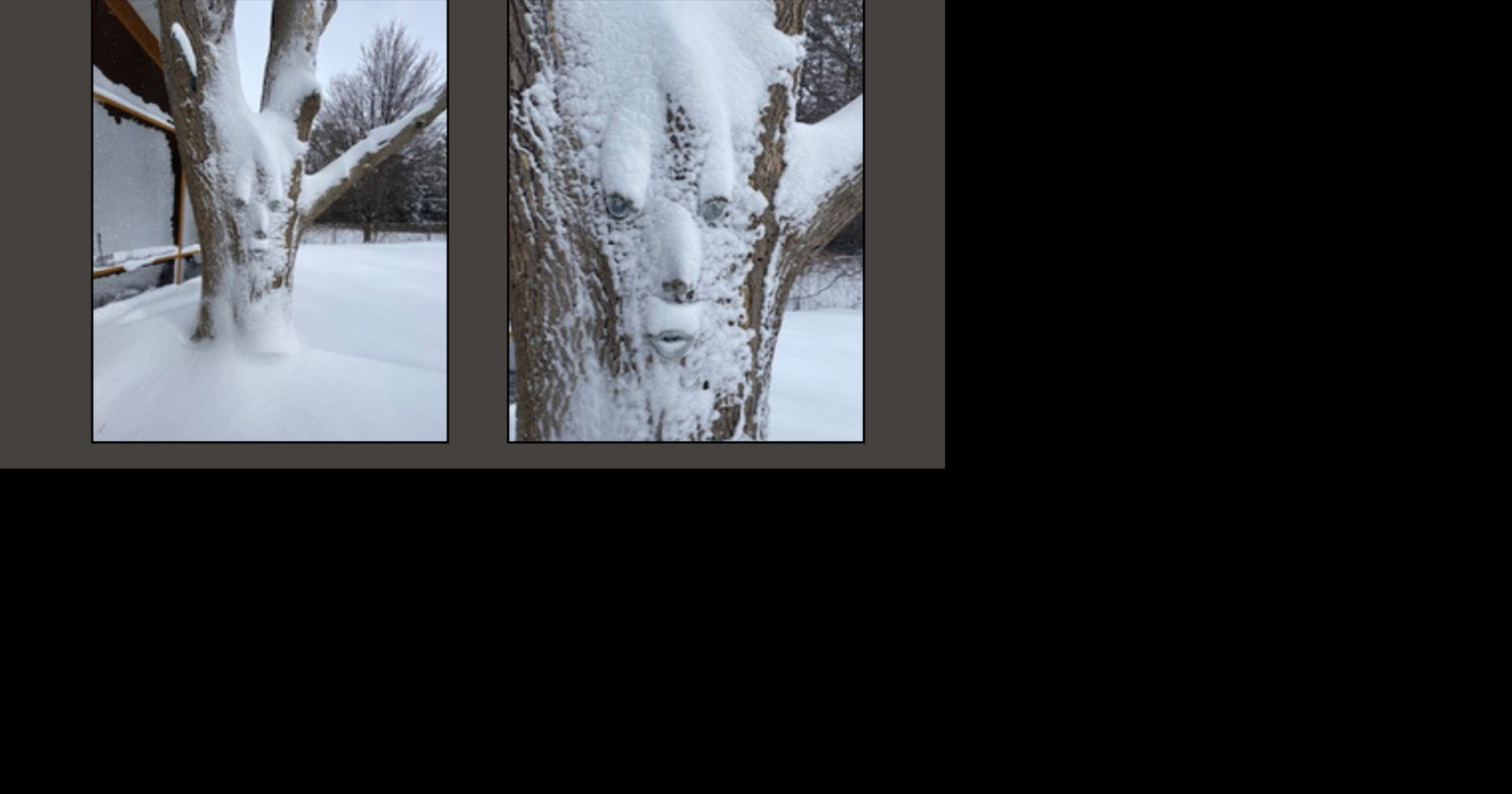 Madison Tree “Blizzard Man” Emerges After Winter Storm | WKOW