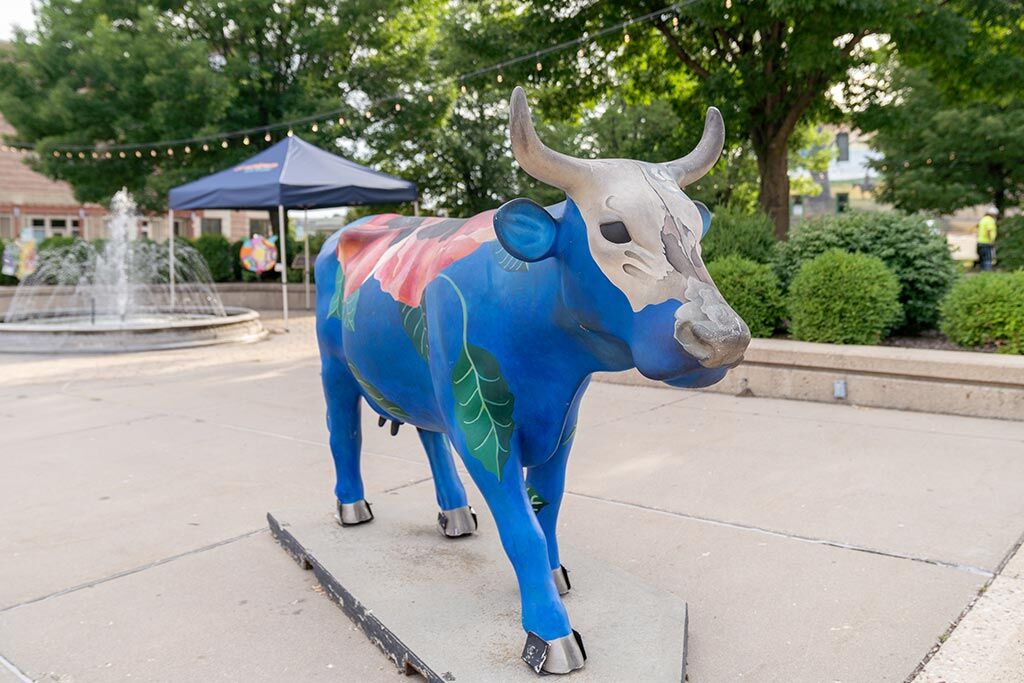 Revamped Georgia O'Keeffe-inspired cow returns to Sun Prairie with