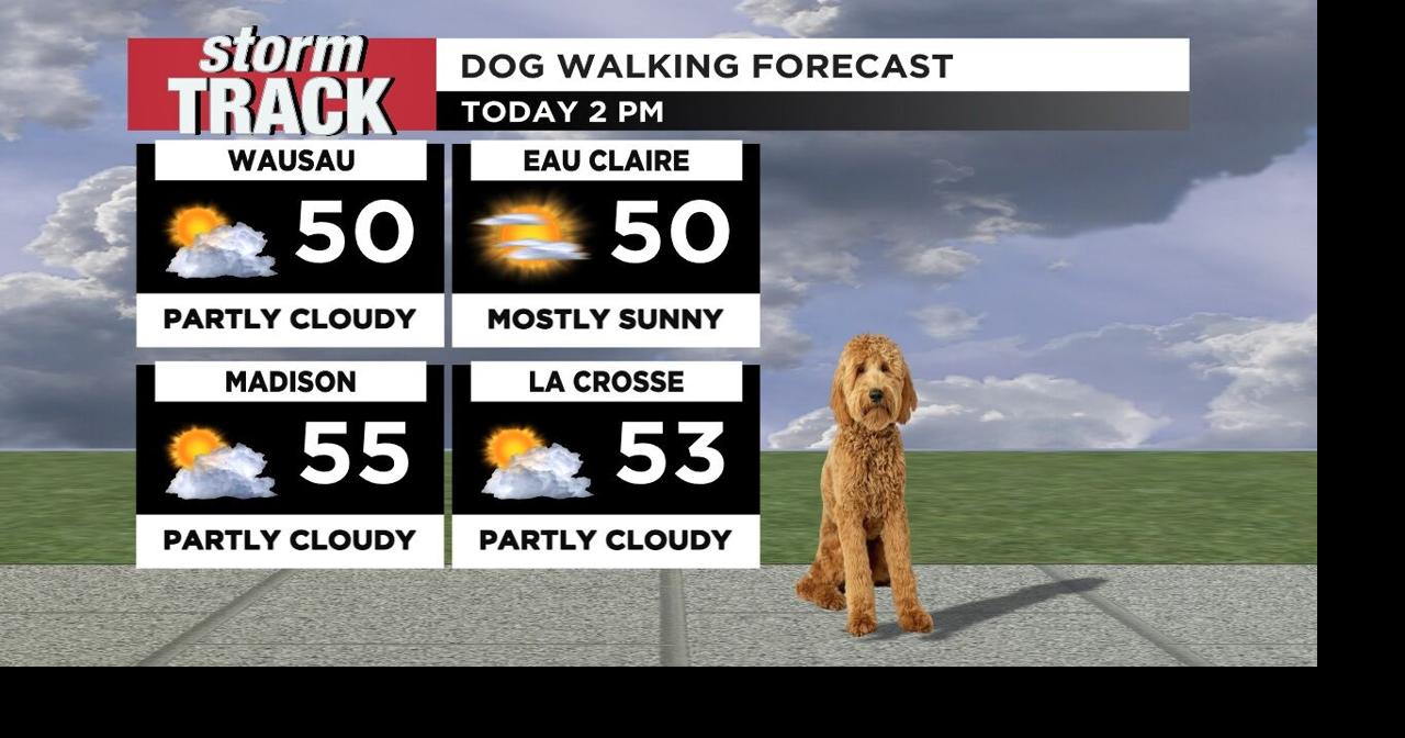 Calm conditions today before rain comes tomorrow