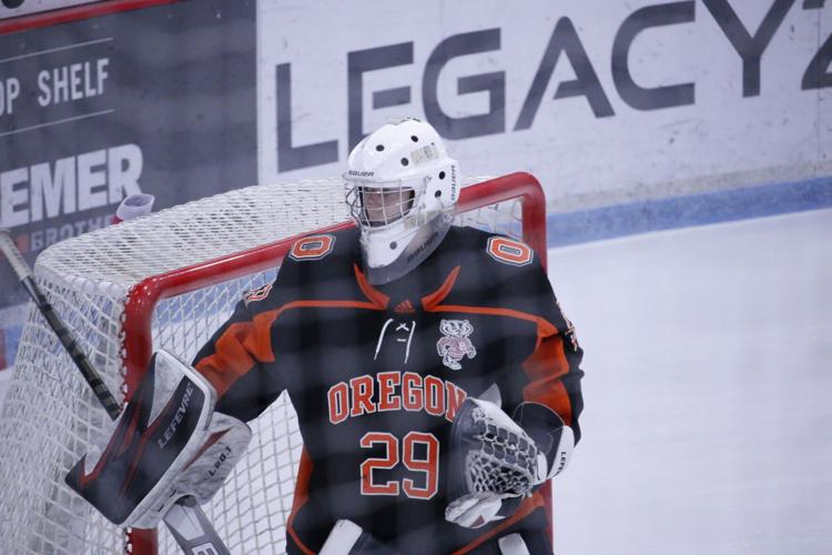 SLIDESHOW Photos from the WIAA State Hockey Tournament Championship