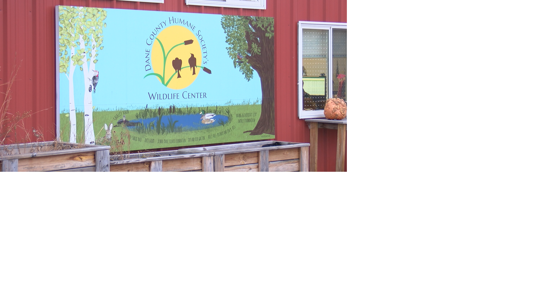 Humane Society using Christmas trees for animal habitats