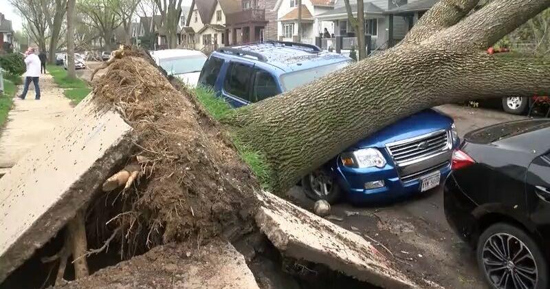 Strong winds knock out power, down trees in southeastern Wisconsin