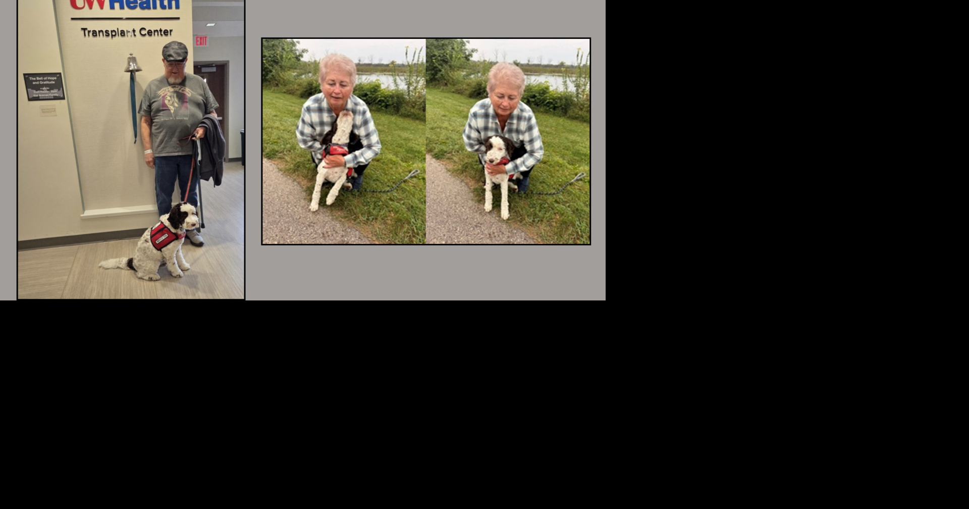 Labradoodle reunited with family after 3 days missing in Madison