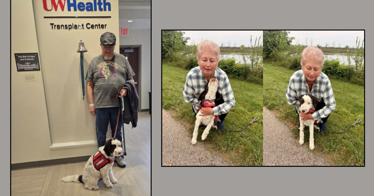 Labradoodle reunited with family after 3 days missing in Madison