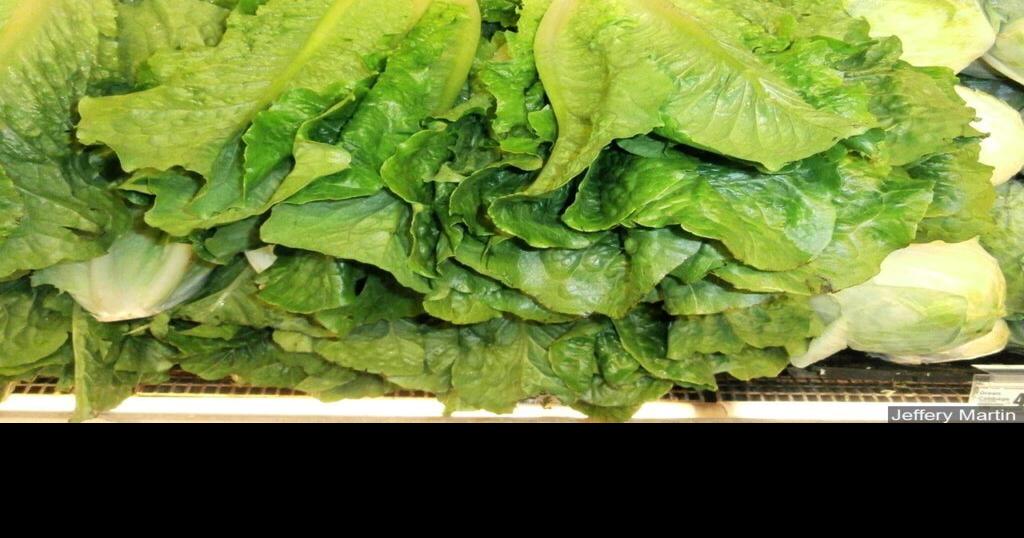 Tanimura & Antle recalls romaine lettuce for possible E. coli Archive