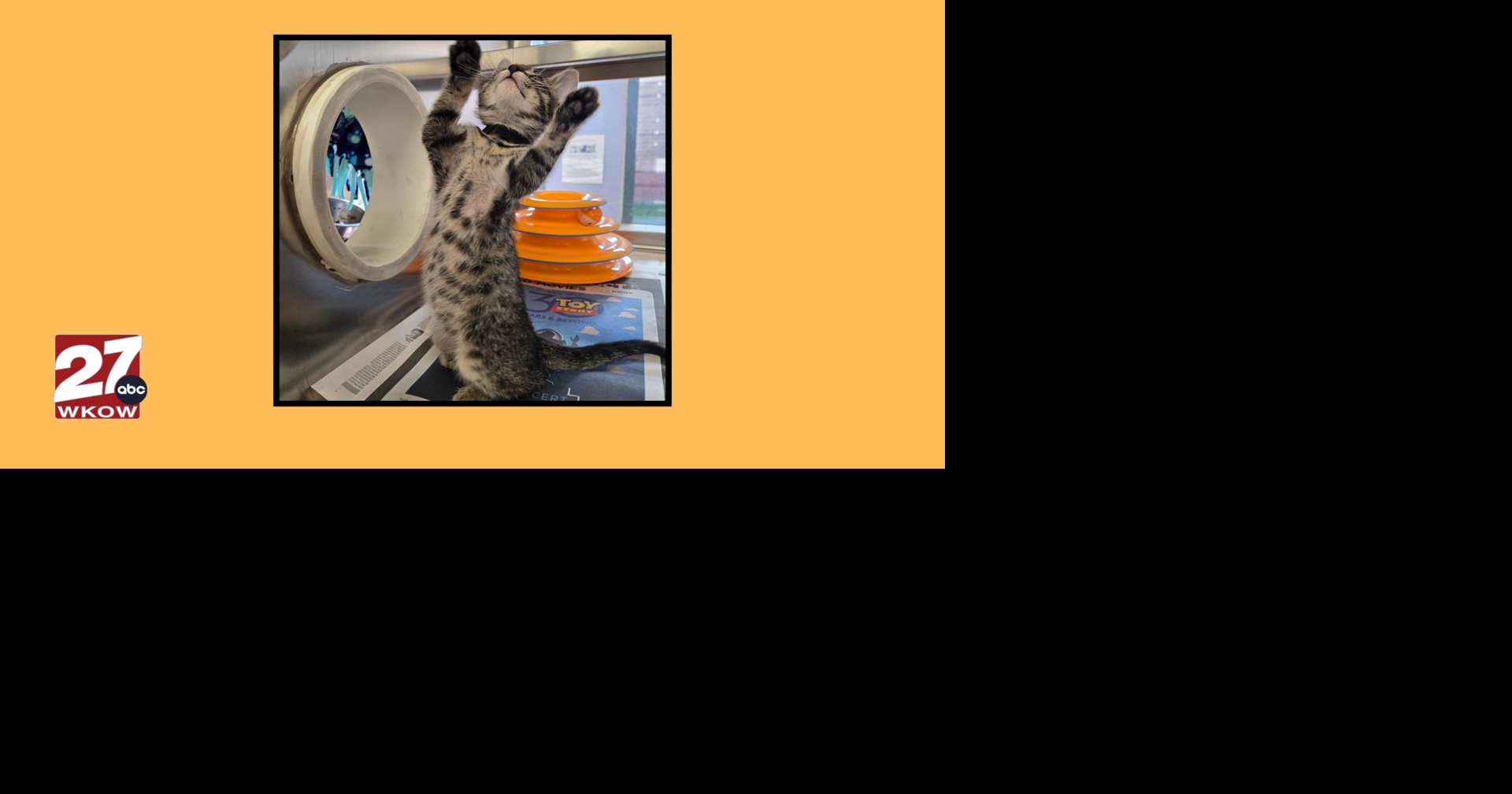 Pet of the Week: Meet Float!