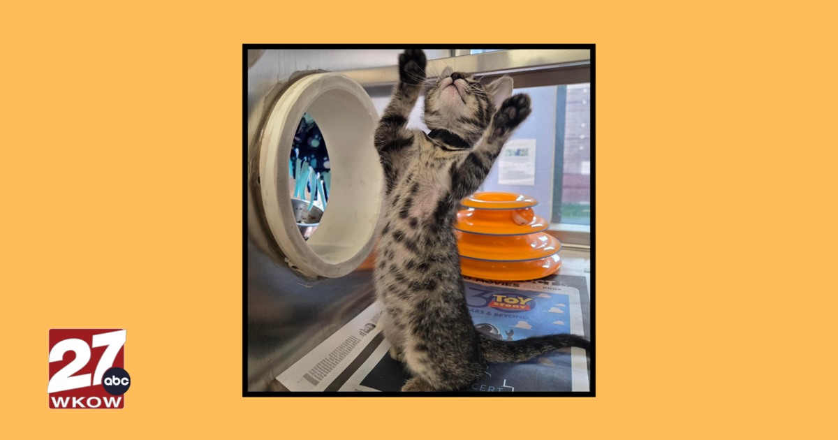 Pet of the Week: Meet Float!